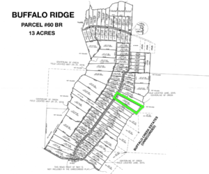 Lot 60 BR - Plat Map