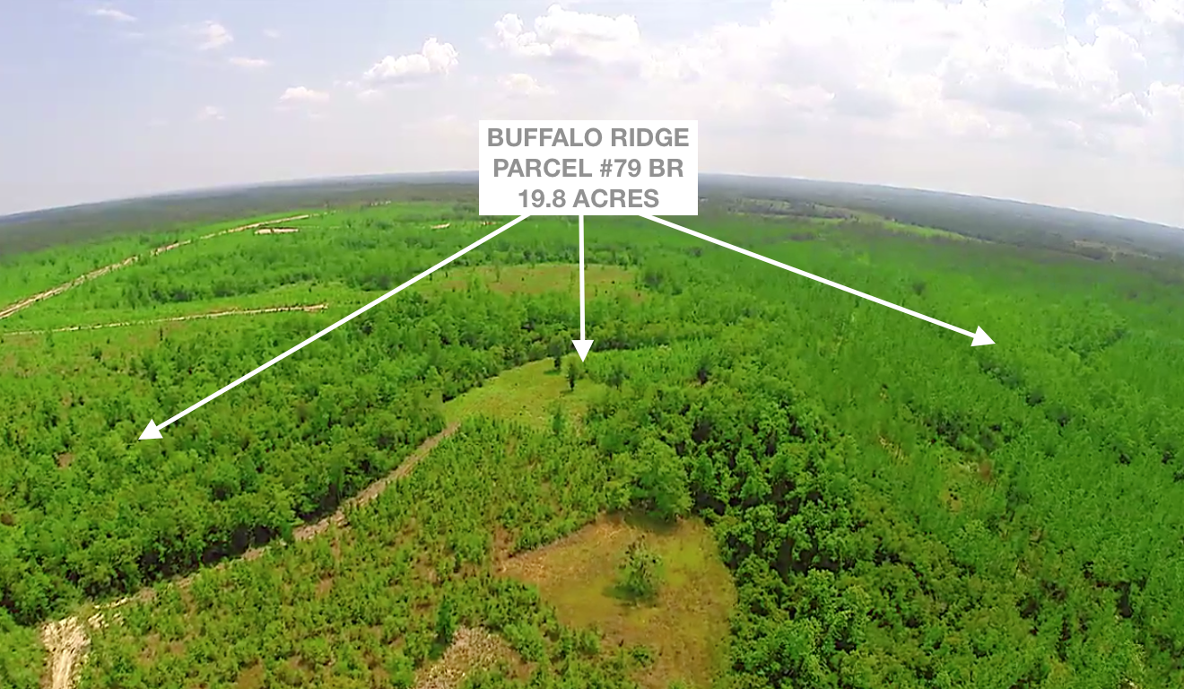 Lot 79 BR, Cold Springs Dr - 19.8 AC