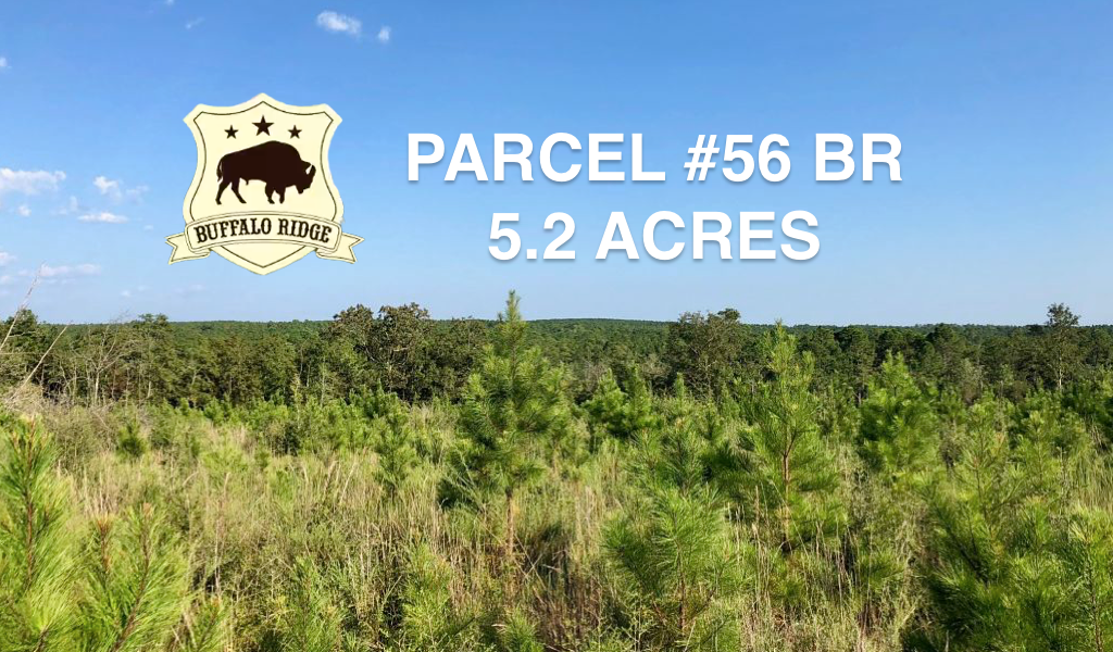 Parcel #56 BR, Buffalo Ridge