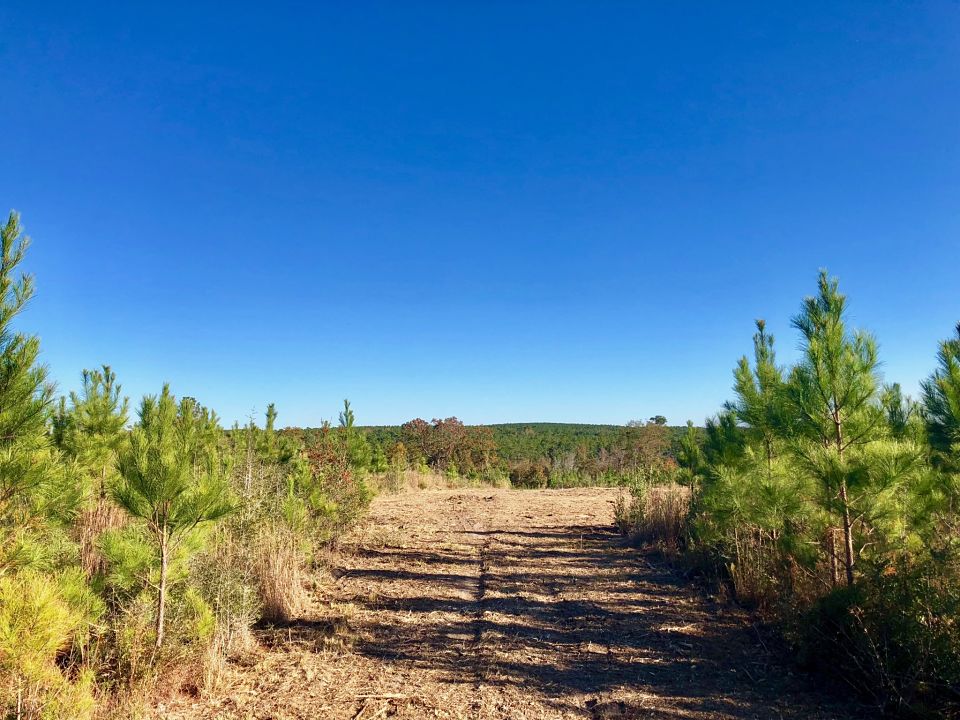 1. Lot 56 BR Buffalo Ridge Pace, Florida