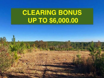 Clearing Bonus - Buffalo Ridge